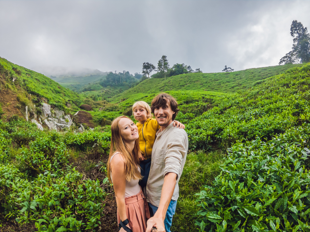 Family Thrills Await