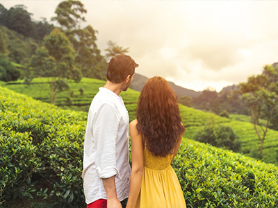 Romantic Journeys