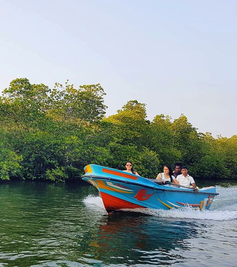 A Coastal Adventure